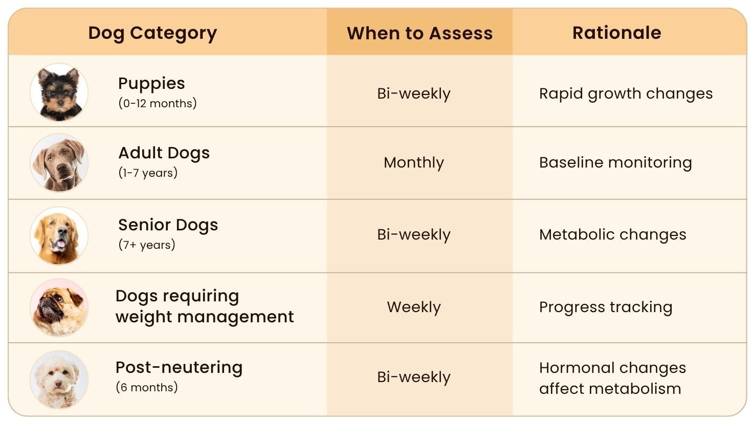 Chart showing recommended frequency for assessing Body Condition Score (BCS) in puppies, adult, senior, overweight, and post-neutering dogs.