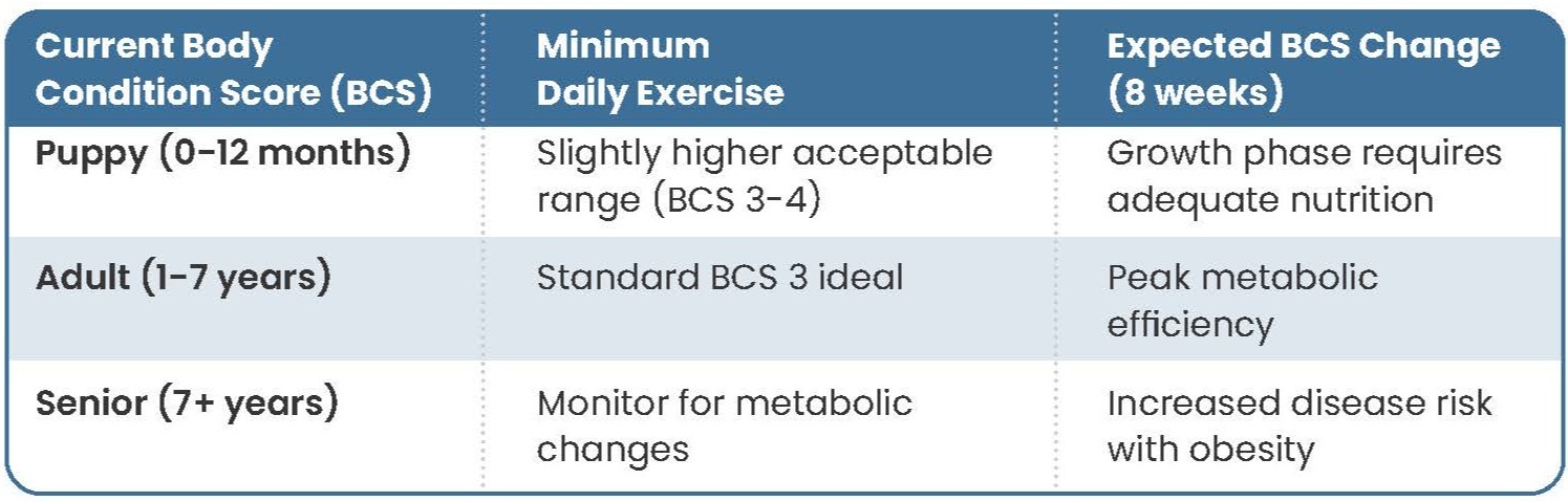 BCS Interpretation Across Life Stages