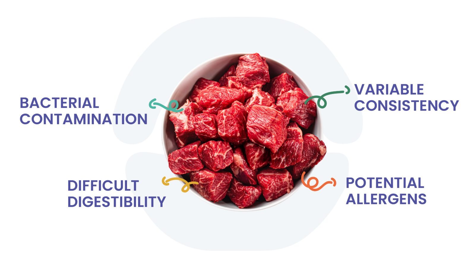 Raw dog food diets carry a risk of bacterial contamination and can be hard to digest for sensitive dogs.