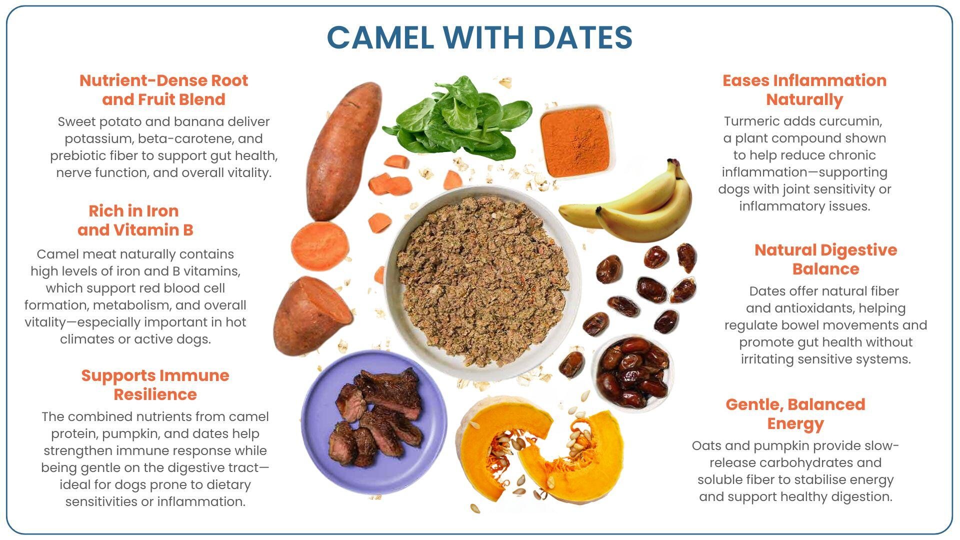 Camel with Dates recipe benefits, featuring key ingredients and six targeted nutritional claims for dogs.