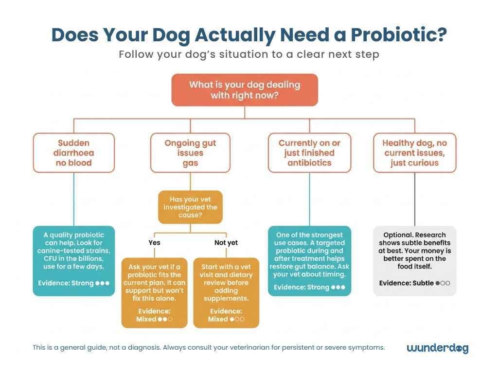 Decision flowchart showing four dog health scenarios with evidence-based probiotic recommendations ranging from strong to optional