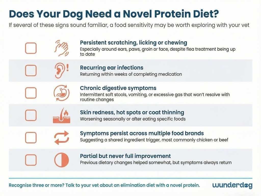 Checklist of six signs a dog may need a novel protein diet from persistent scratching to symptoms across multiple food brands