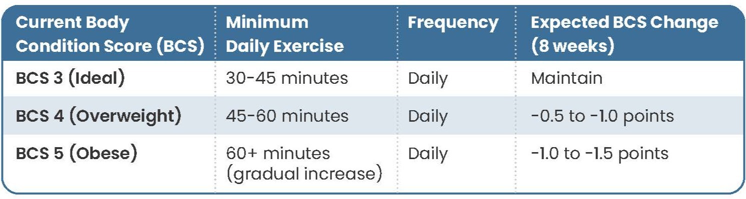 Exercise Requirements by Current BCS