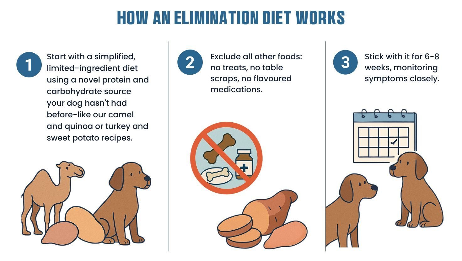 How an elimination diet works if your dog suffers from food allergies