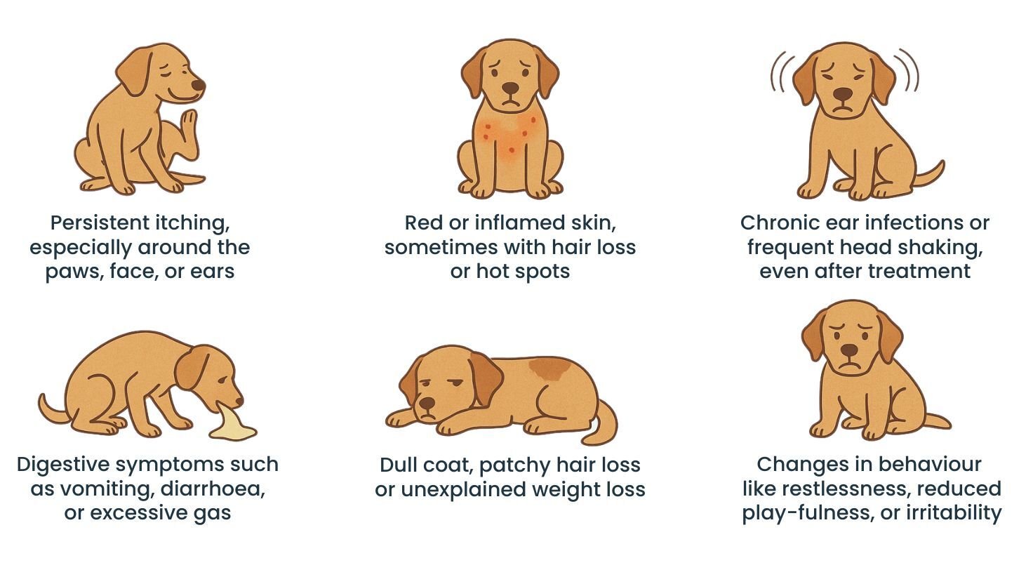 How to recognise the signs of food sensitivities