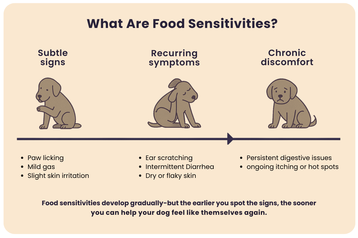 Food sensitivities in dogs