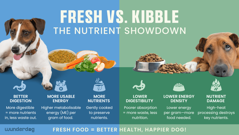 Side-by-side comparison of fresh dog food versus kibble, highlighting advantages in digestibility, nutrient retention, energy density, and processing impact.