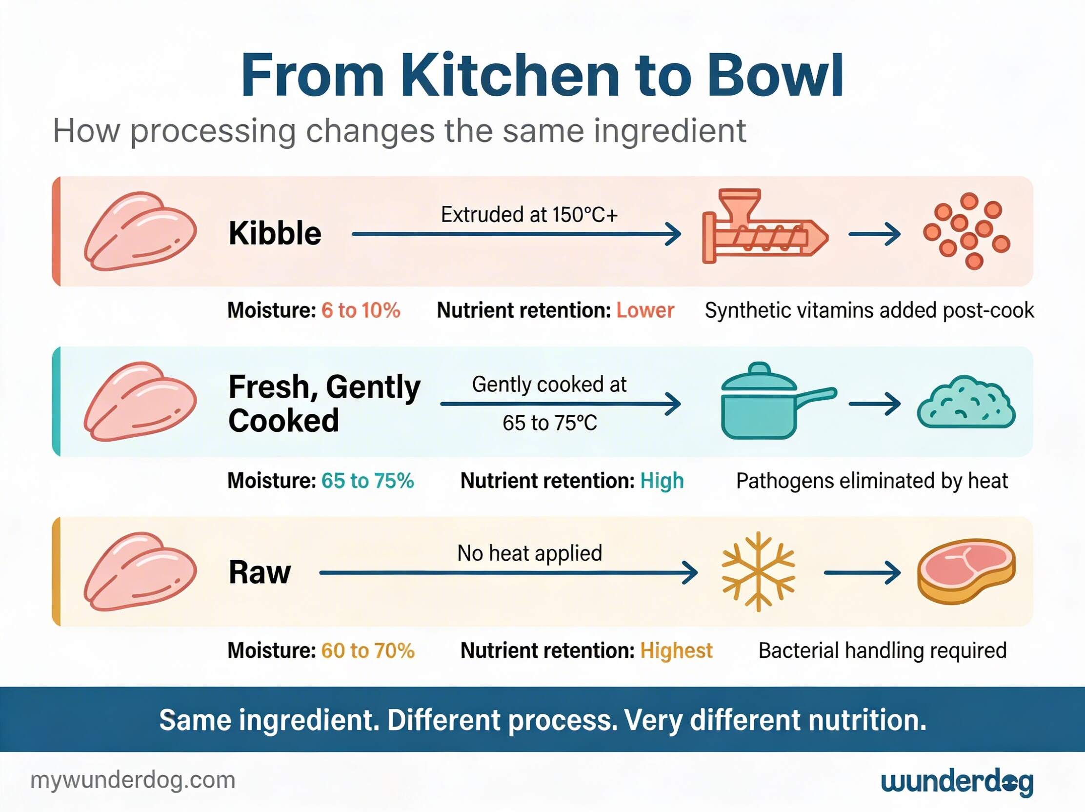 Kibble, fresh cooked, and raw all start with the same ingredients. The difference is what happens next. This infographic shows how processing temperature changes moisture, nutrient retention, and safety.