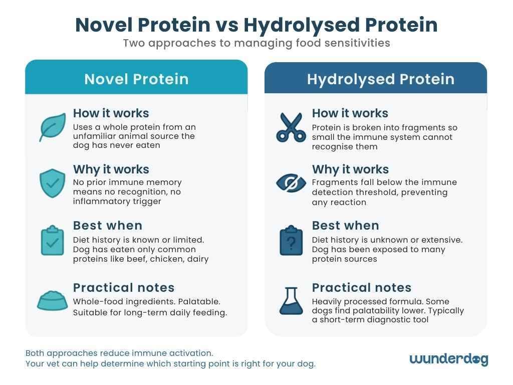 Side-by-side comparison of novel protein and hydrolysed protein diet approaches showing when each works best for sensitive dogs
