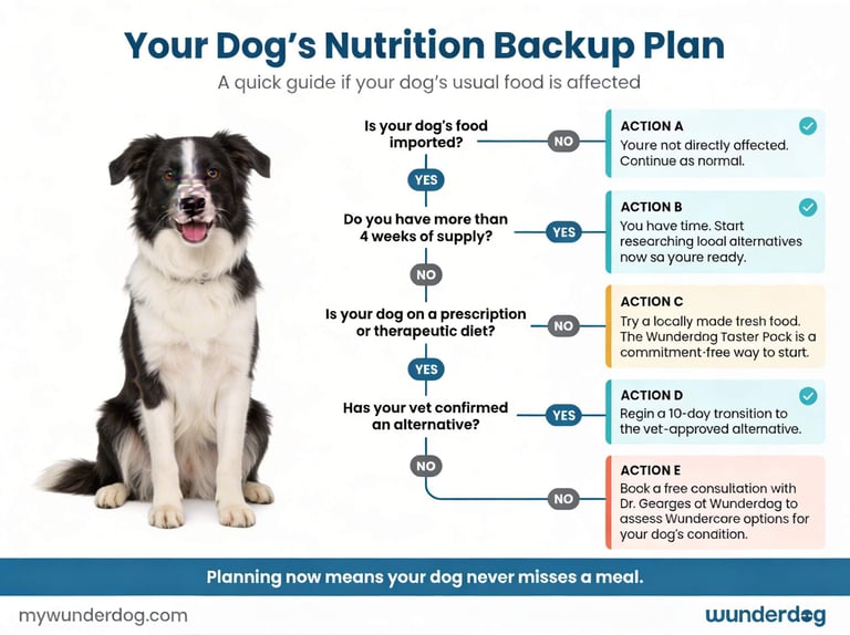 Worried about your dog’s food supply? Four questions to figure out your next move.