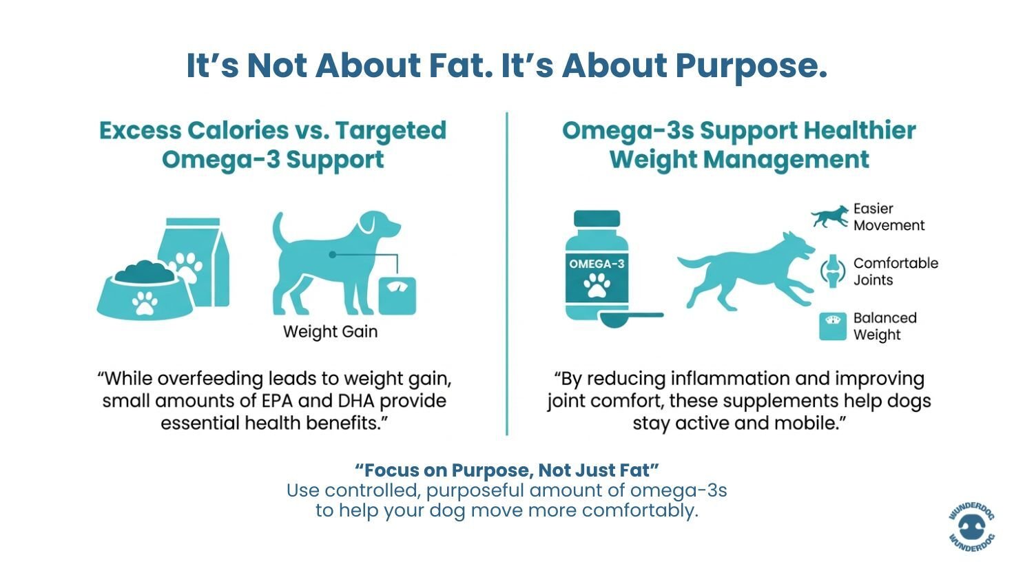 Infographic comparing uncontrolled dietary fat with omega-3 fats, highlighting inflammation control, cellular support, and recovery in dogs.