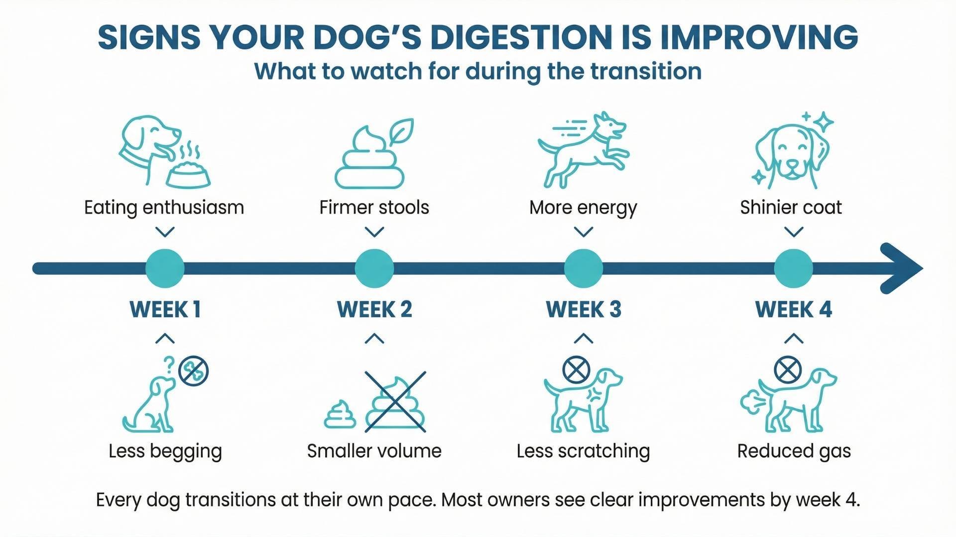 Checklist of observable digestive health improvements in dogs switching to fresh food