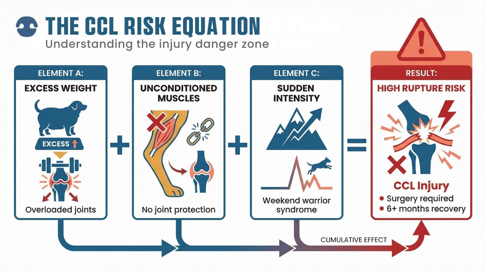 CCL injury risk equation showing excess weight plus unconditioned muscles plus sudden intensity equals ligament rupture
