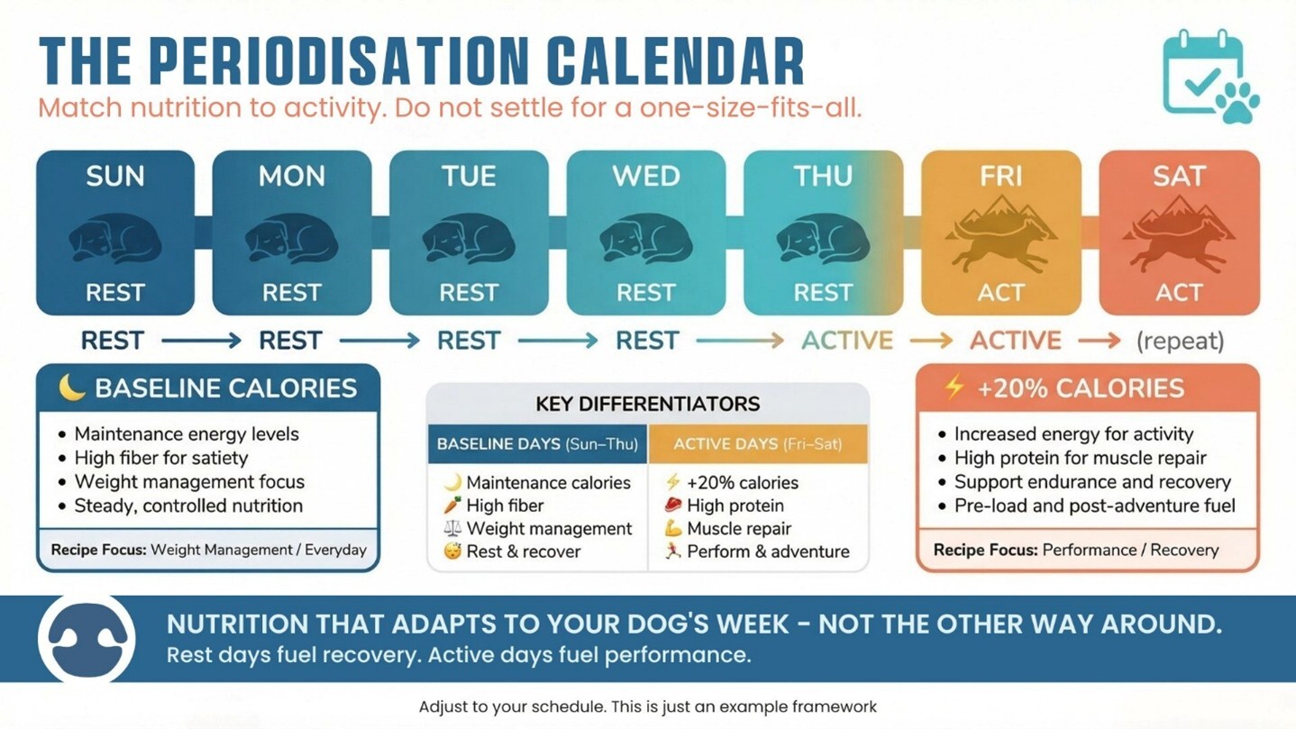 Weekly dog nutrition calendar showing baseline calories on rest days Sunday to Thursday and 20% increase on active weekends