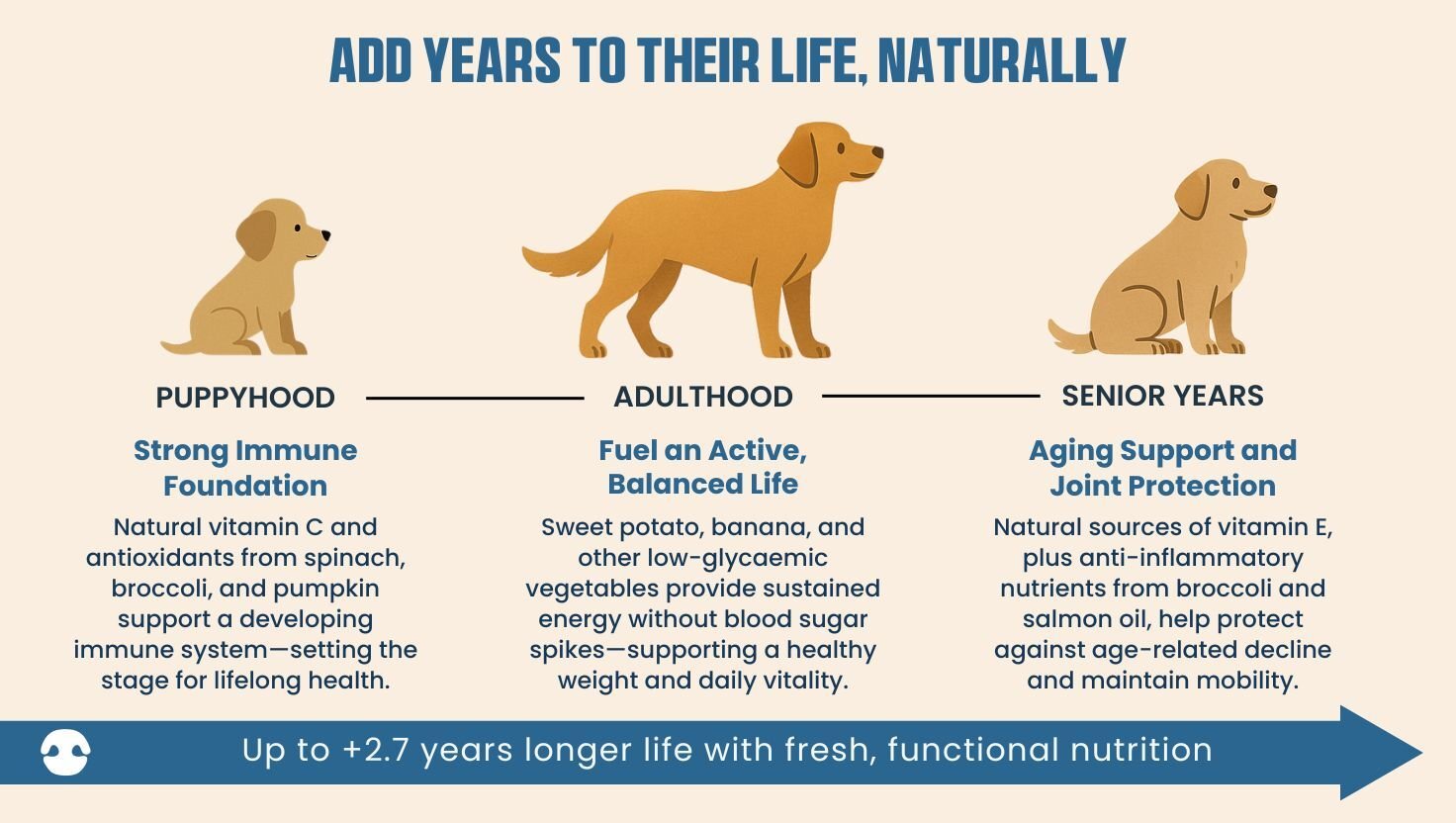 The benefits of fresh nutrition at every life stage—from building immune strength in puppies to joint support in senior dogs.