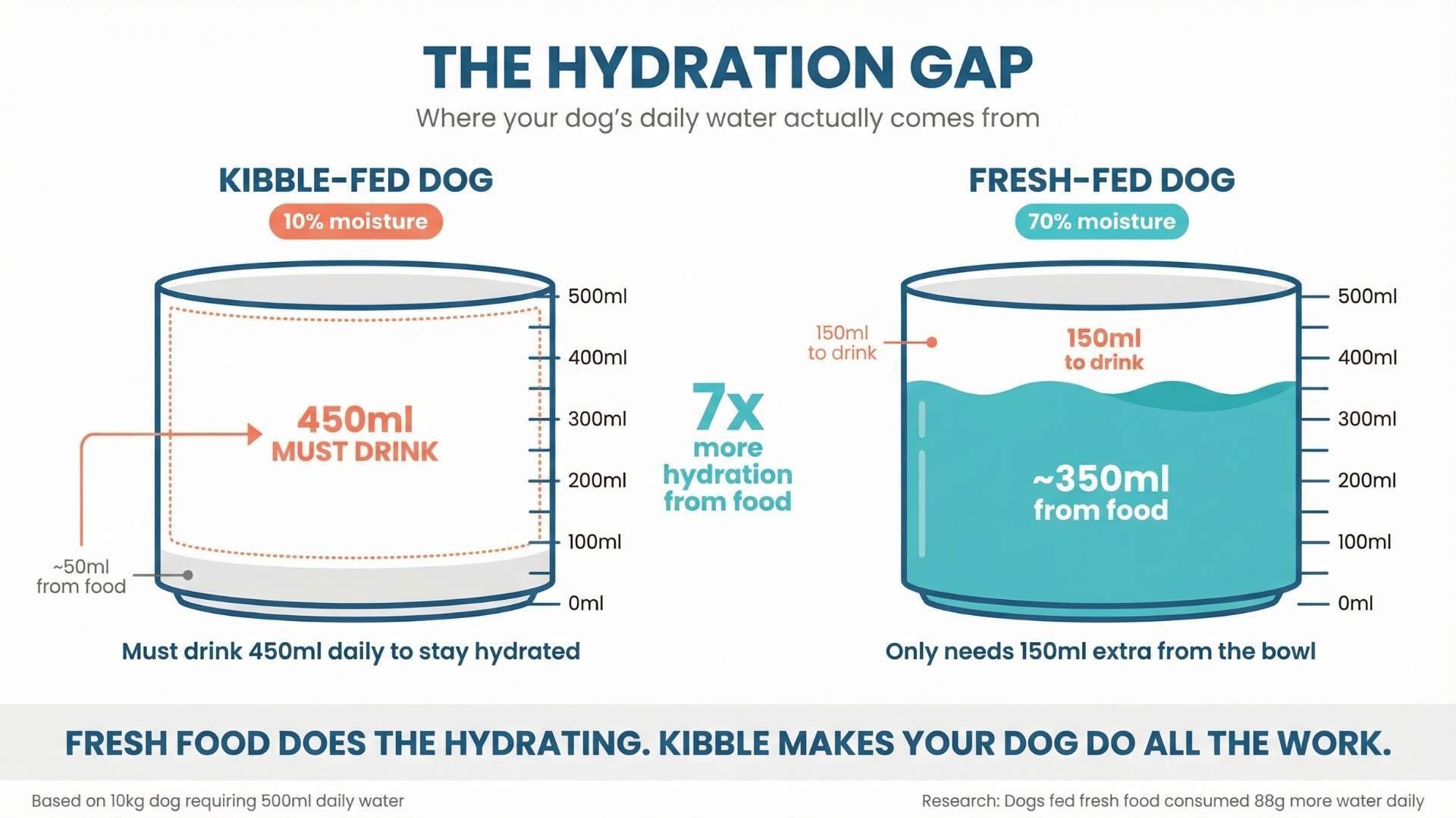 Water intake comparison showing fresh food provides 350ml versus kibble's 50ml daily hydration