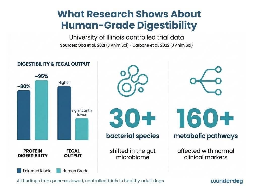 Research data showing human grade dog food has higher digestibility and lower fecal output than kibble with shifts in over 30 bacterial species