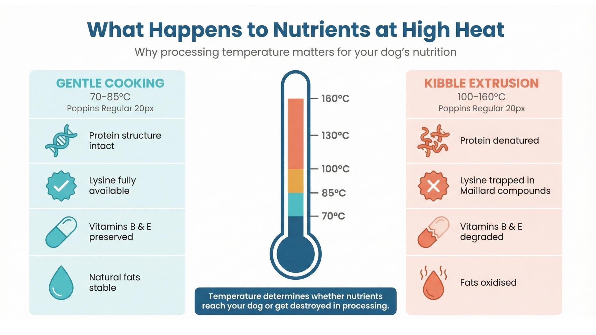 Protein and vitamin degradation at kibble extrusion temperatures versus gentle cooking for fresh dog food