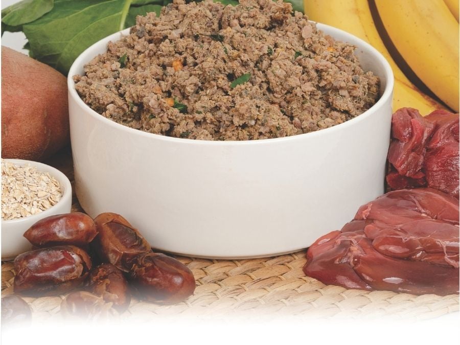 Wunderdog Camel with Dates fresh dog food in white bowl with raw ingredients - dates, camel meat, sweet potato, oats, bananas, and leafy greens. Guaranteed analysis: 14.2% protein, 8% fat, 1,474 kcal/kg - novel protein recipe for dogs with allergies