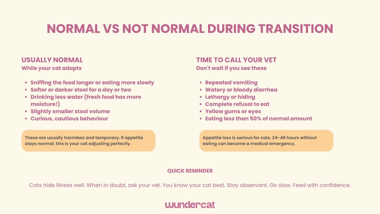 Educational chart showing normal adjustment signs during a cat food transition versus symptoms that require veterinary attention, including appetite changes, vomiting, diarrhoea, and lethargy.