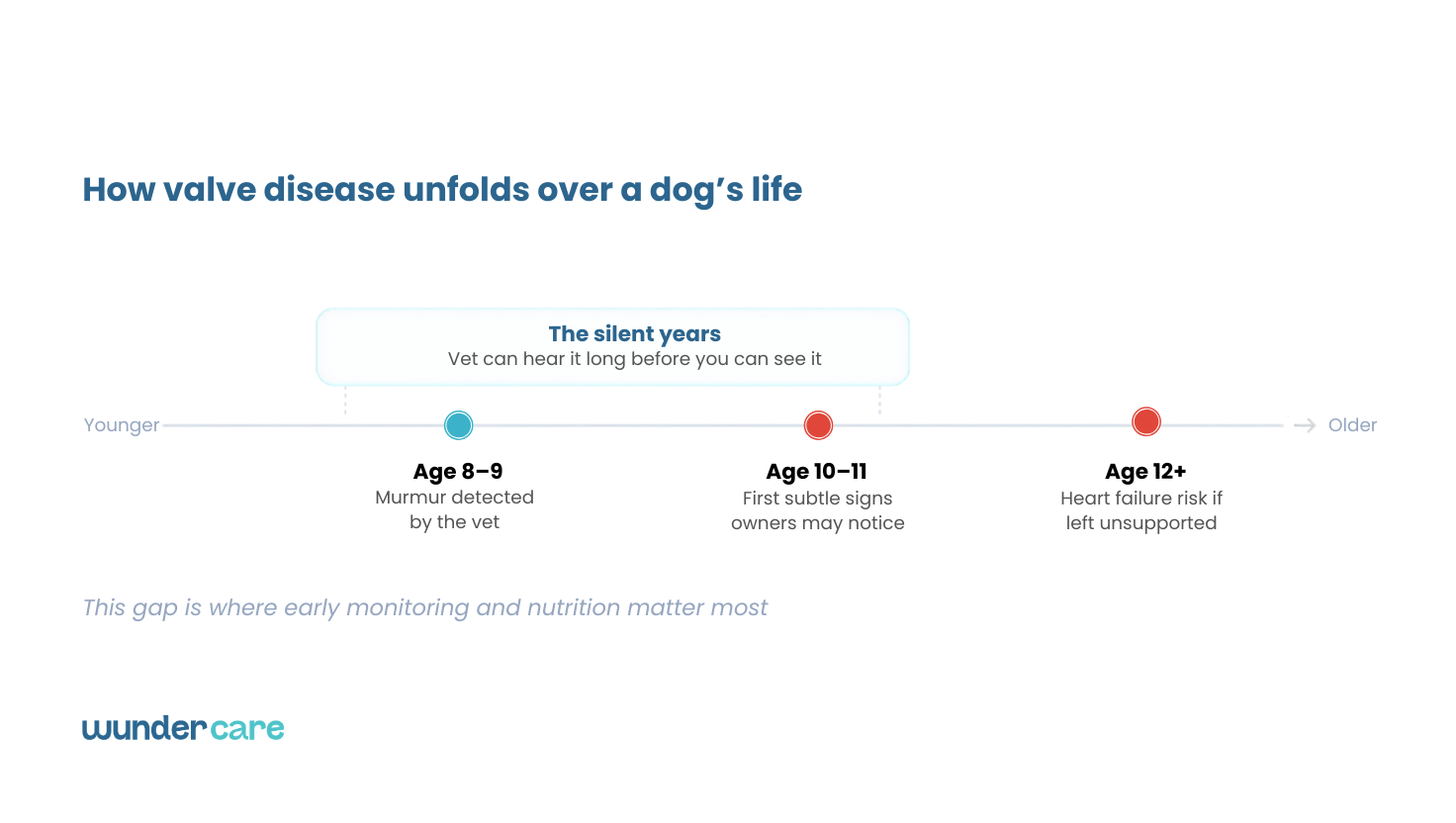 Timeline showing how mitral valve disease develops over a Cavalier King Charles Spaniel's life, from silent heart murmurs to advanced heart disease.