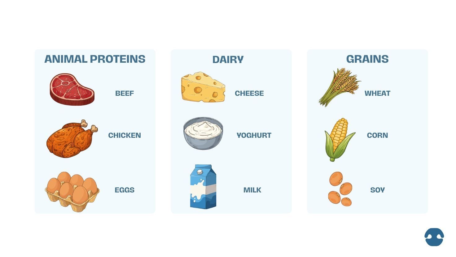 Chart showing common dog food allergens including animal proteins such as beef and chicken, dairy products like milk and cheese, and grains including wheat, corn, and soy.