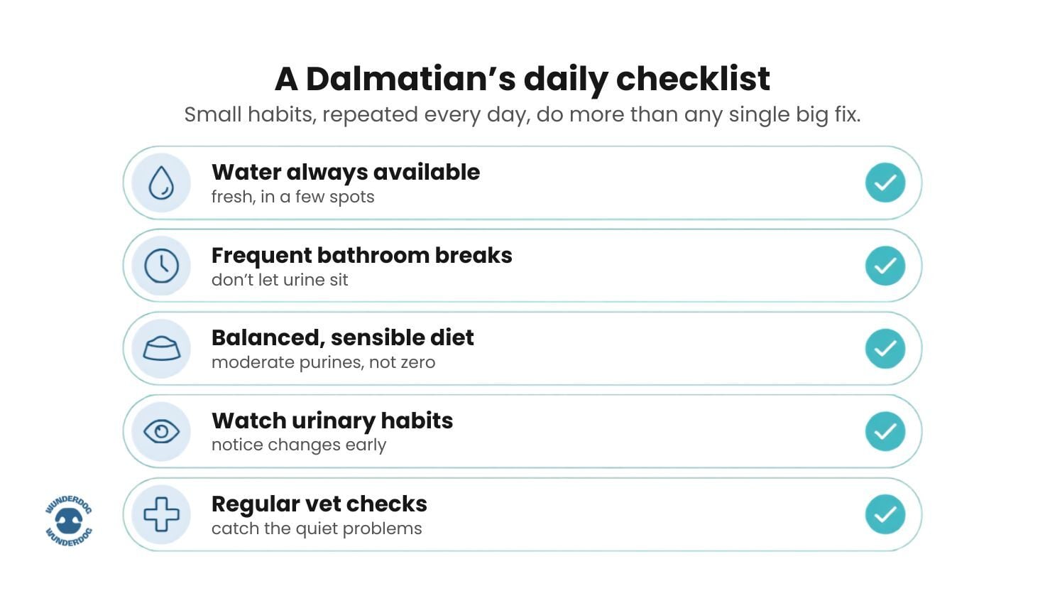 Infographic with a daily urinary health checklist for Dalmatians, including hydration, regular toilet breaks, a balanced diet with moderate purines, monitoring urinary habits, and routine veterinary check-ups.