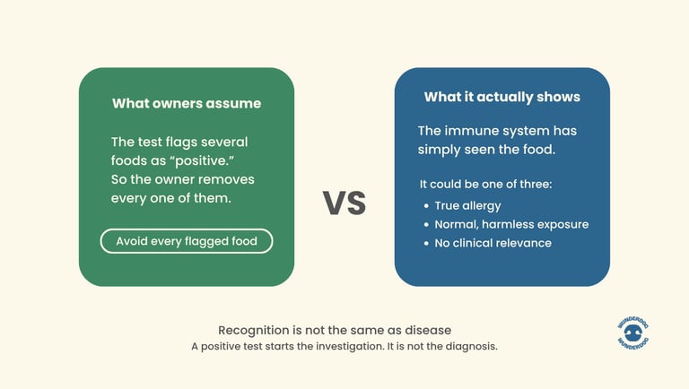 Comparison showing the difference between positive dog food allergy test results and clinically relevant food allergies, explaining that a positive test does not always indicate a true allergy.