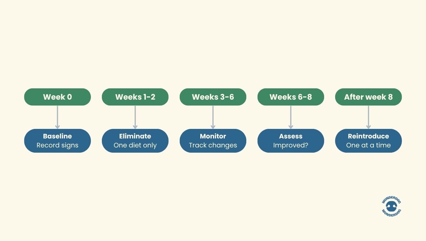 Timeline showing the stages of a dog food elimination diet, including baseline recording, elimination phase, monitoring, assessment, and gradual food reintroduction after eight weeks.