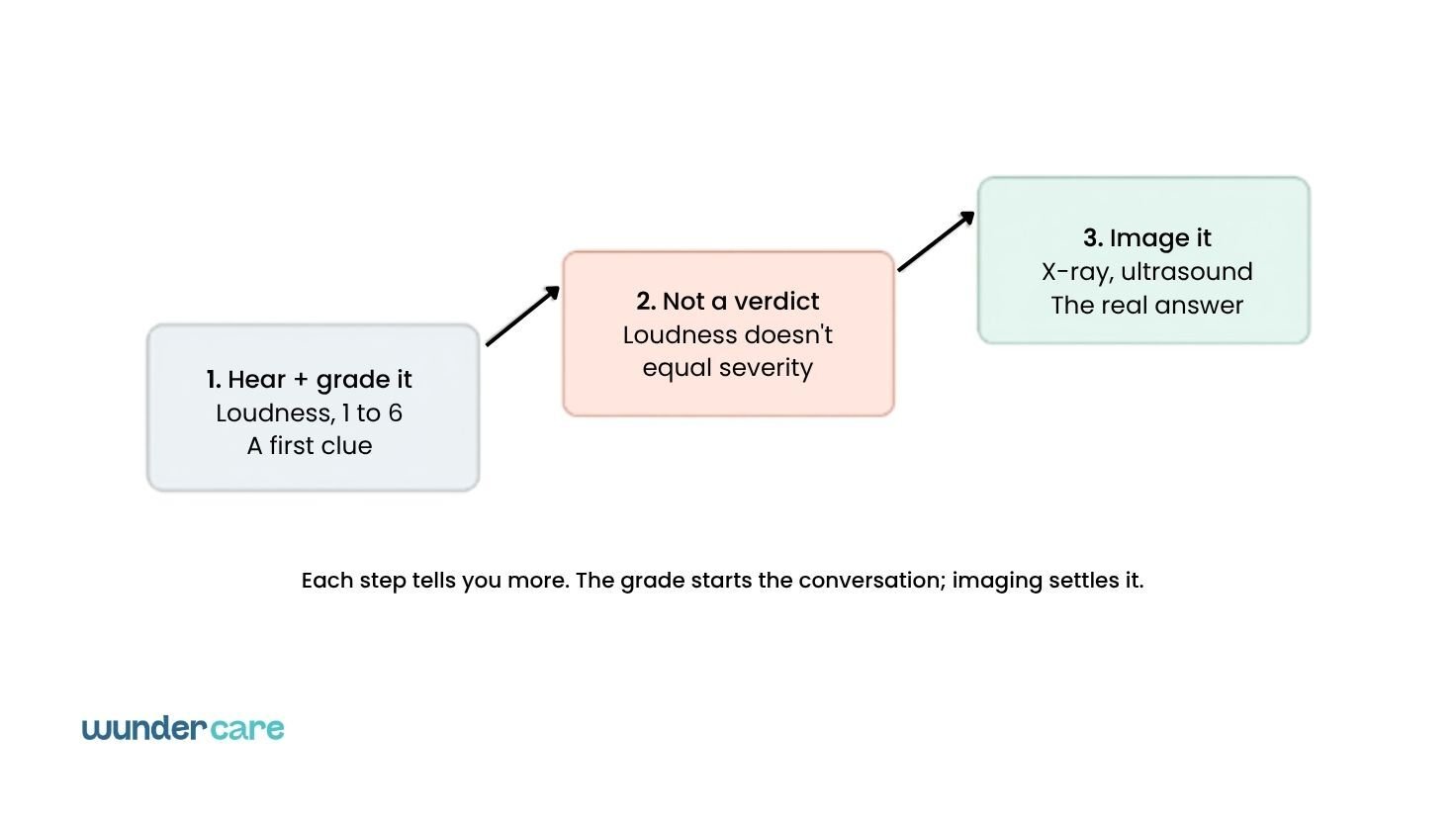 Illustration explaining how veterinarians evaluate a dog heart murmur by listening to the heart, assigning a murmur grade, and using diagnostic imaging to determine the underlying heart condition.