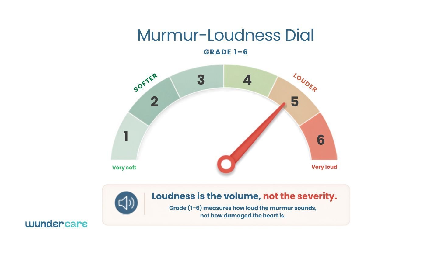Illustration showing the heart murmur grade scale from 1 to 6, explaining that murmur grade reflects loudness rather than the severity of heart disease.