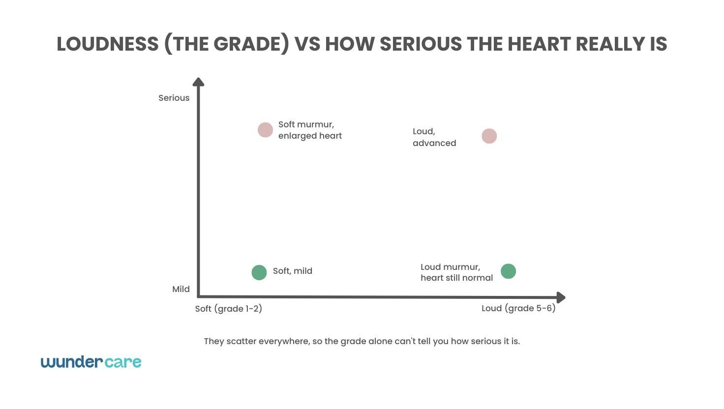 Illustration comparing heart murmur loudness with disease severity, showing that soft and loud murmurs can occur in both mild and advanced heart disease in dogs.