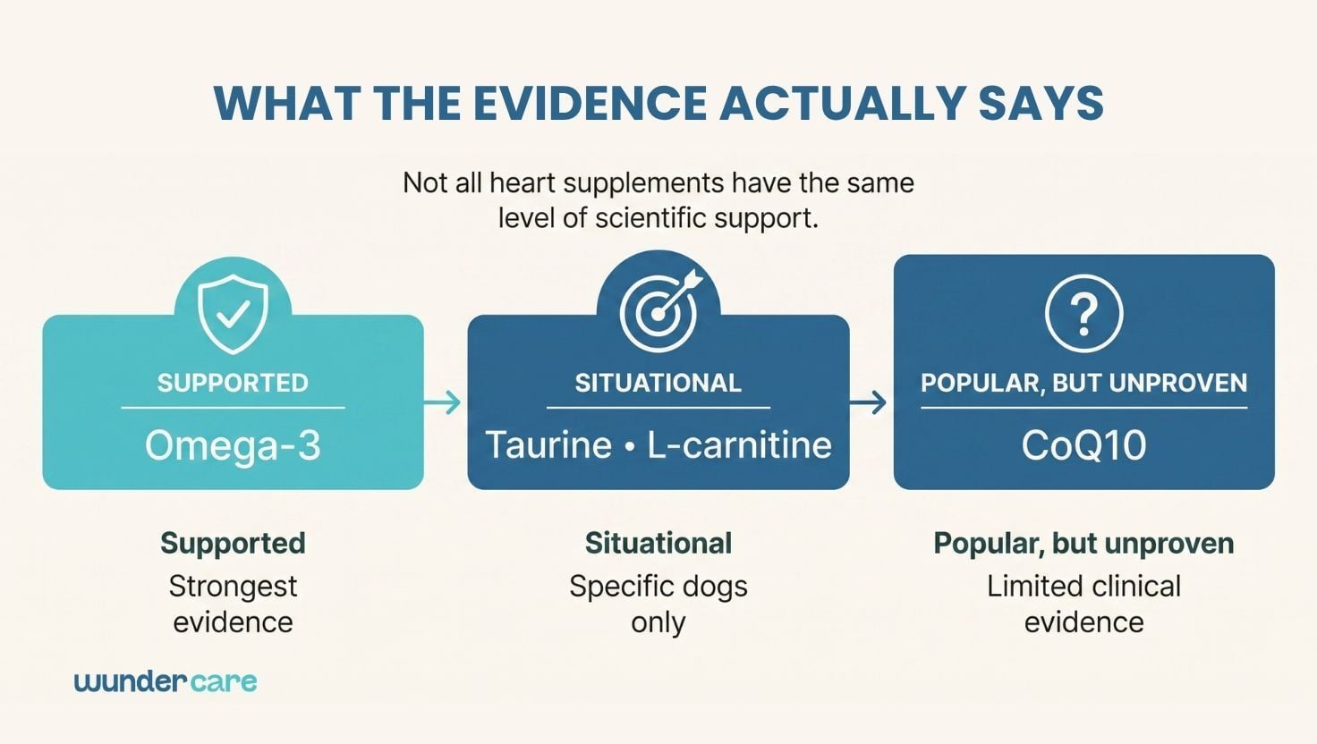 Chart comparing evidence levels for dog heart supplements: omega-3 well supported, taurine and L-carnitine situational, CoQ10 popular but unproven