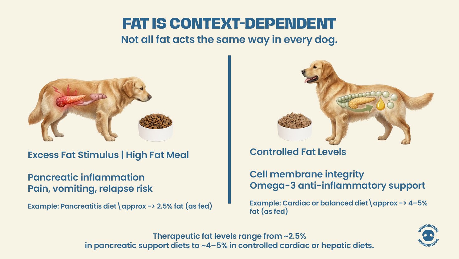 Illustration comparing high fat meal causing pancreatic inflammation in a dog versus controlled fat levels supporting cell membrane integrity and omega-3 anti-inflammatory support.
