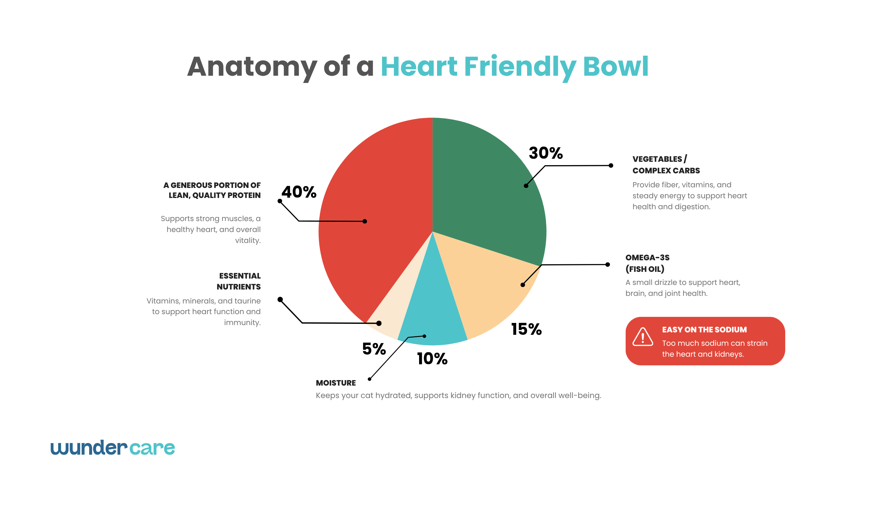 Infographic illustrating the components of a heart-friendly dog diet, including lean protein, vegetables, omega-3 fatty acids, moisture, essential nutrients, and controlled sodium.