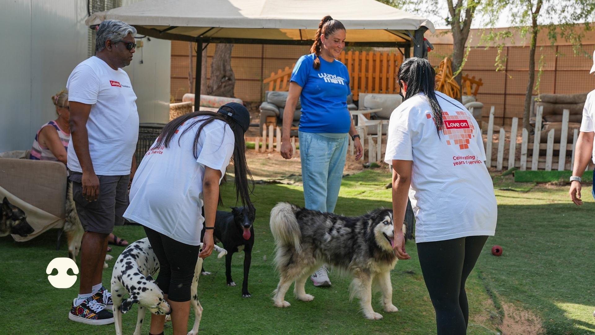 Lenovo Foundation volunteers interacting with rescue dogs, including a Dalmatian and a Husky, alongside a Wunderdog team member during a volunteering day at Haven of Hope in Dubai.