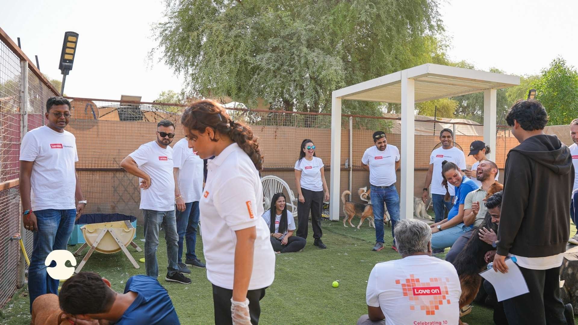 Lenovo Foundation volunteers and Wunderdog team members spending time with rescue dogs in the outdoor play area at Haven of Hope animal rescue in Dubai.