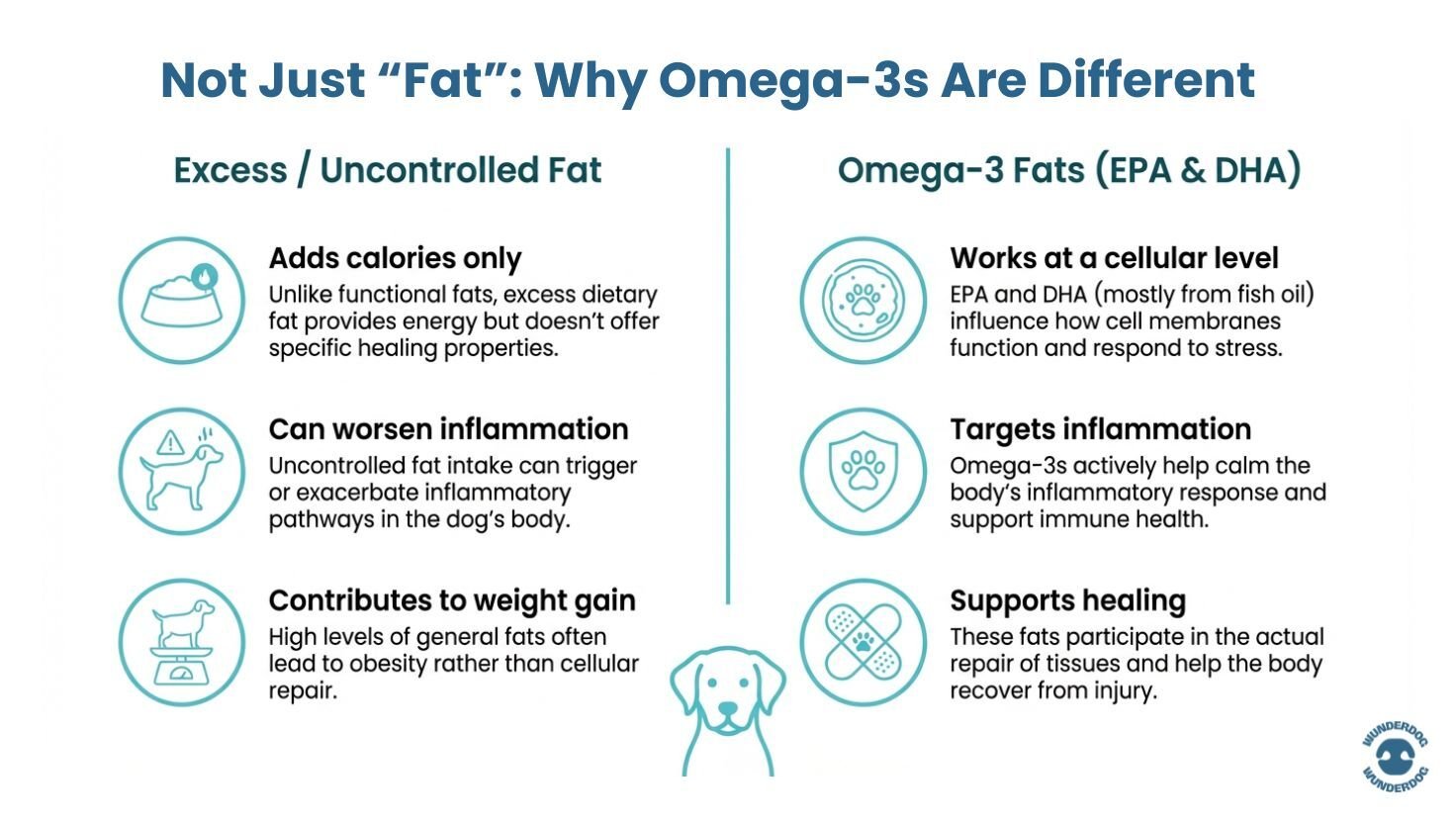 Infographic comparing uncontrolled dietary fat with omega-3 fats, highlighting inflammation control, cellular support, and recovery in dogs.