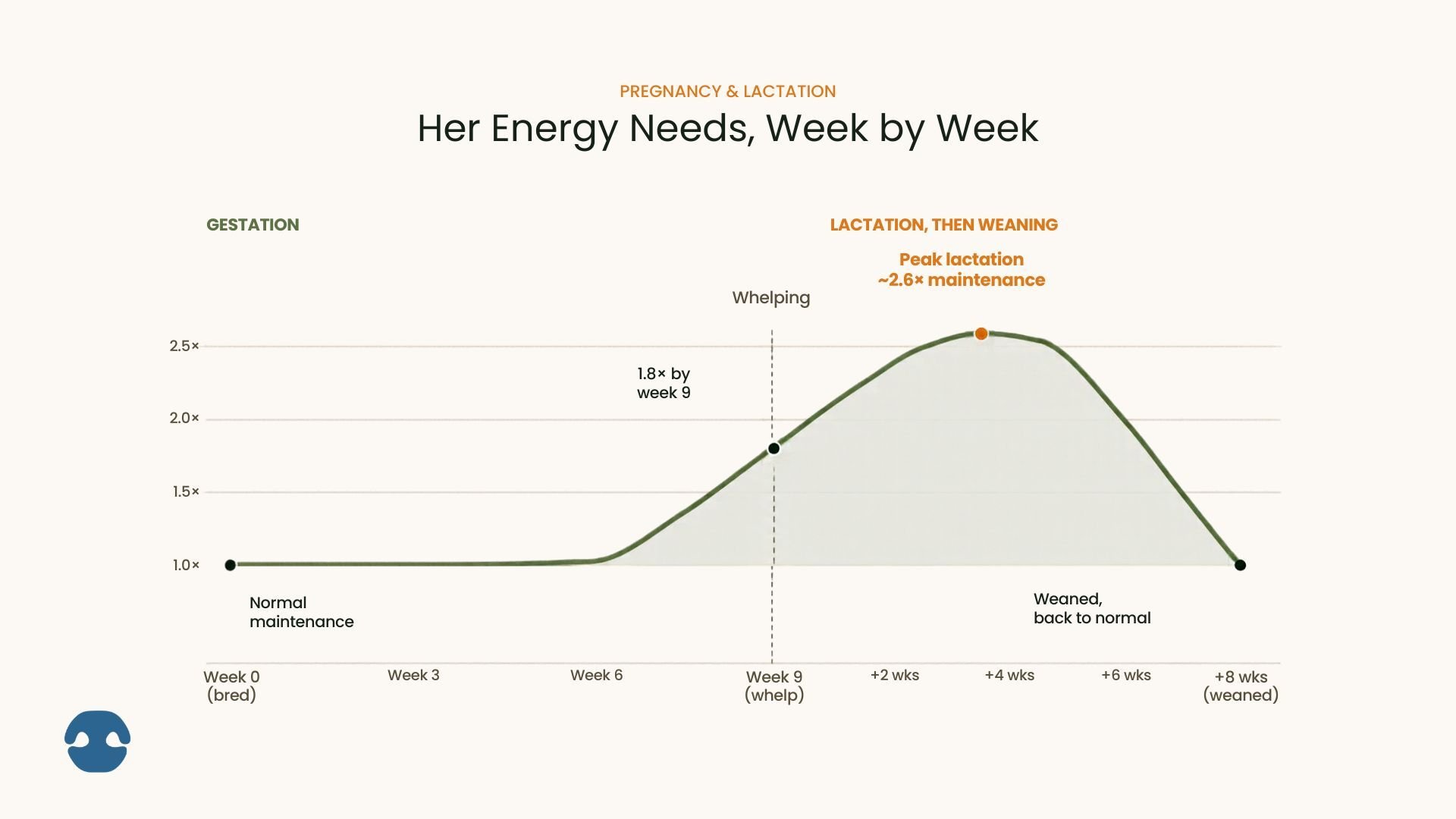 Chart showing how a dog’s energy needs increase from pregnancy through peak lactation and return to normal after weaning.