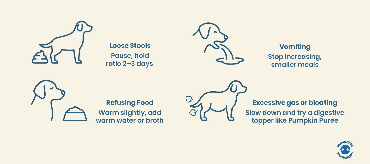 problems-when-switching-dog-food-loose-stools-vomiting-gas-wunderdog
