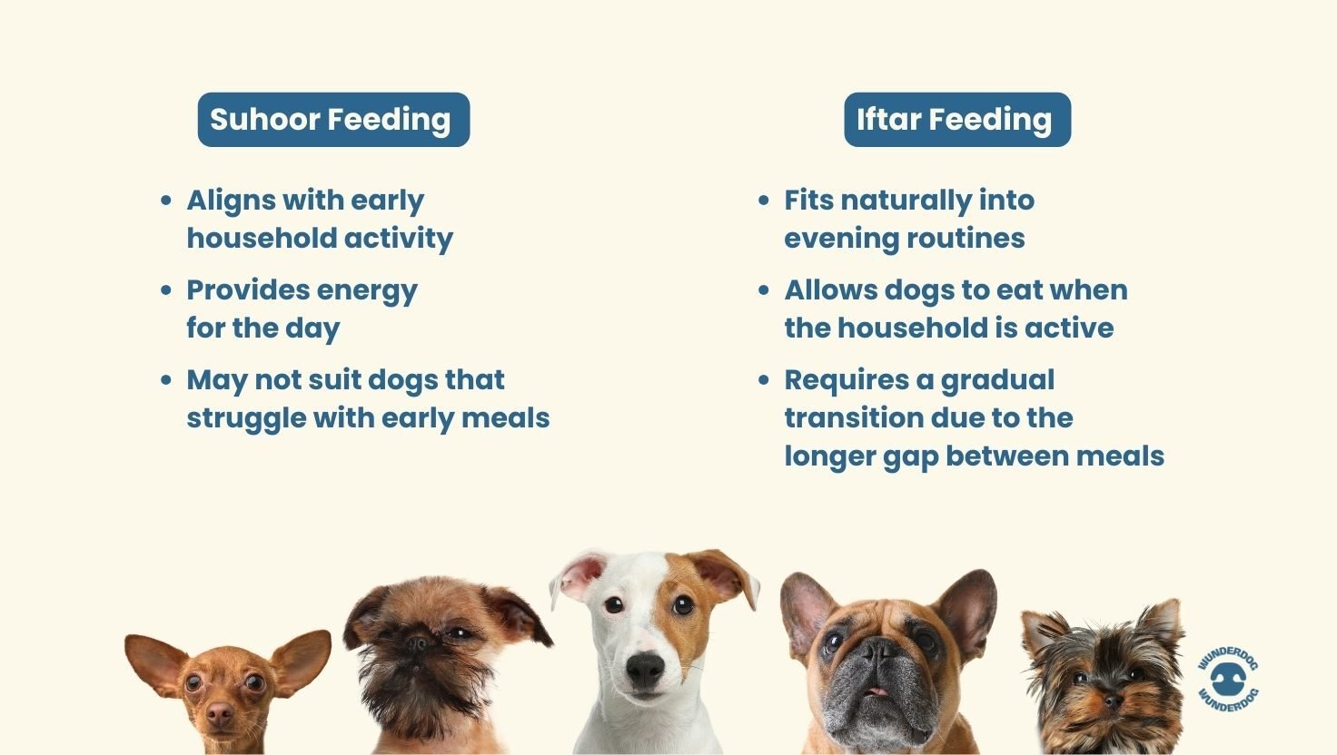 ramadan-dog-feeding-options-suhoor-iftar-wunderdog