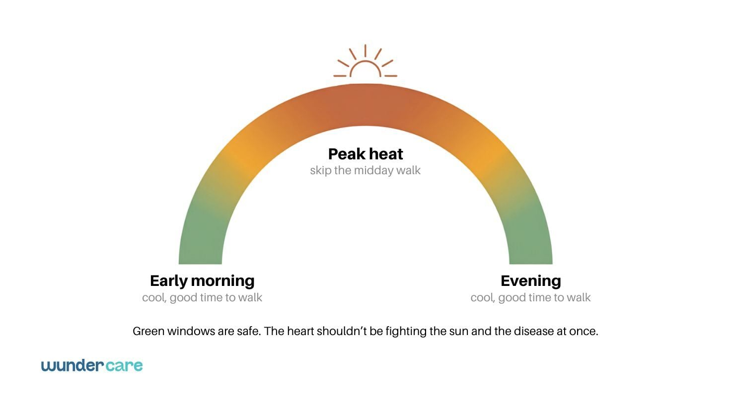 Infographic showing the safest times to walk a senior dog with heart disease during the UAE summer, recommending early morning and evening walks while avoiding peak midday heat.