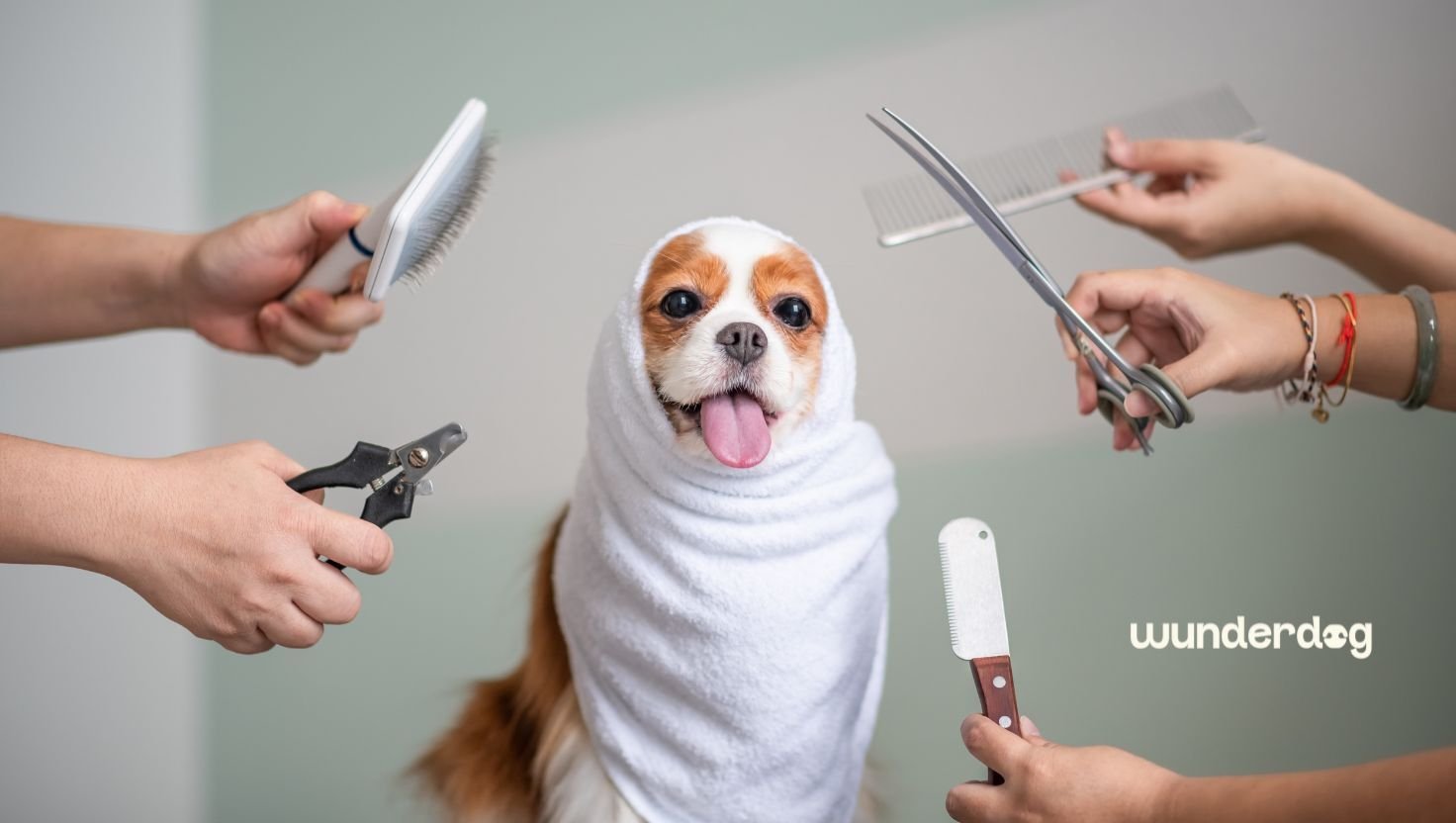 Small brown and white dog wrapped in a towel during grooming with brushes, scissors, and grooming tools around it for a UAE summer dog grooming guide.