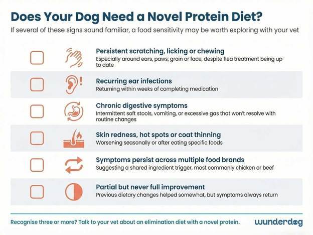 Checklist of six signs a dog may need a novel protein diet from persistent scratching to symptoms across multiple food brands