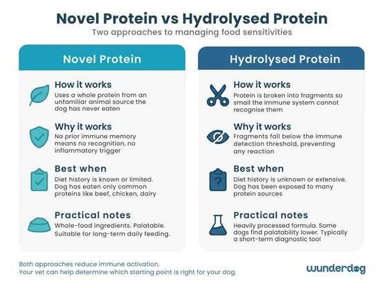 Side-by-side comparison of novel protein and hydrolysed protein diet approaches showing when each works best for sensitive dogs