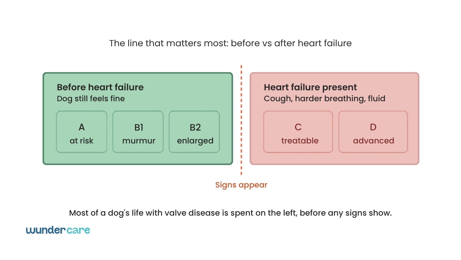 Diagram showing dog heart disease stages A, B1 and B2 before heart failure, and stages C and D after heart failure begins, Wundercare