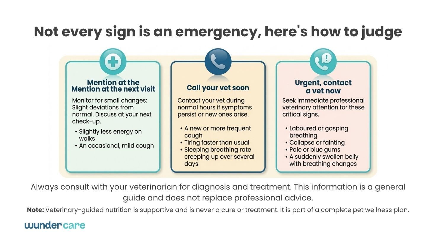Guide to heart disease warning signs in dogs, showing which symptoms to mention at the next visit, call the vet about soon, or treat as urgent