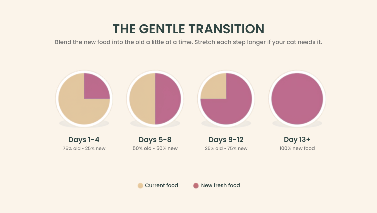 Cat food transition guide showing how to gradually introduce fresh food over 13 days by mixing current food with new food.