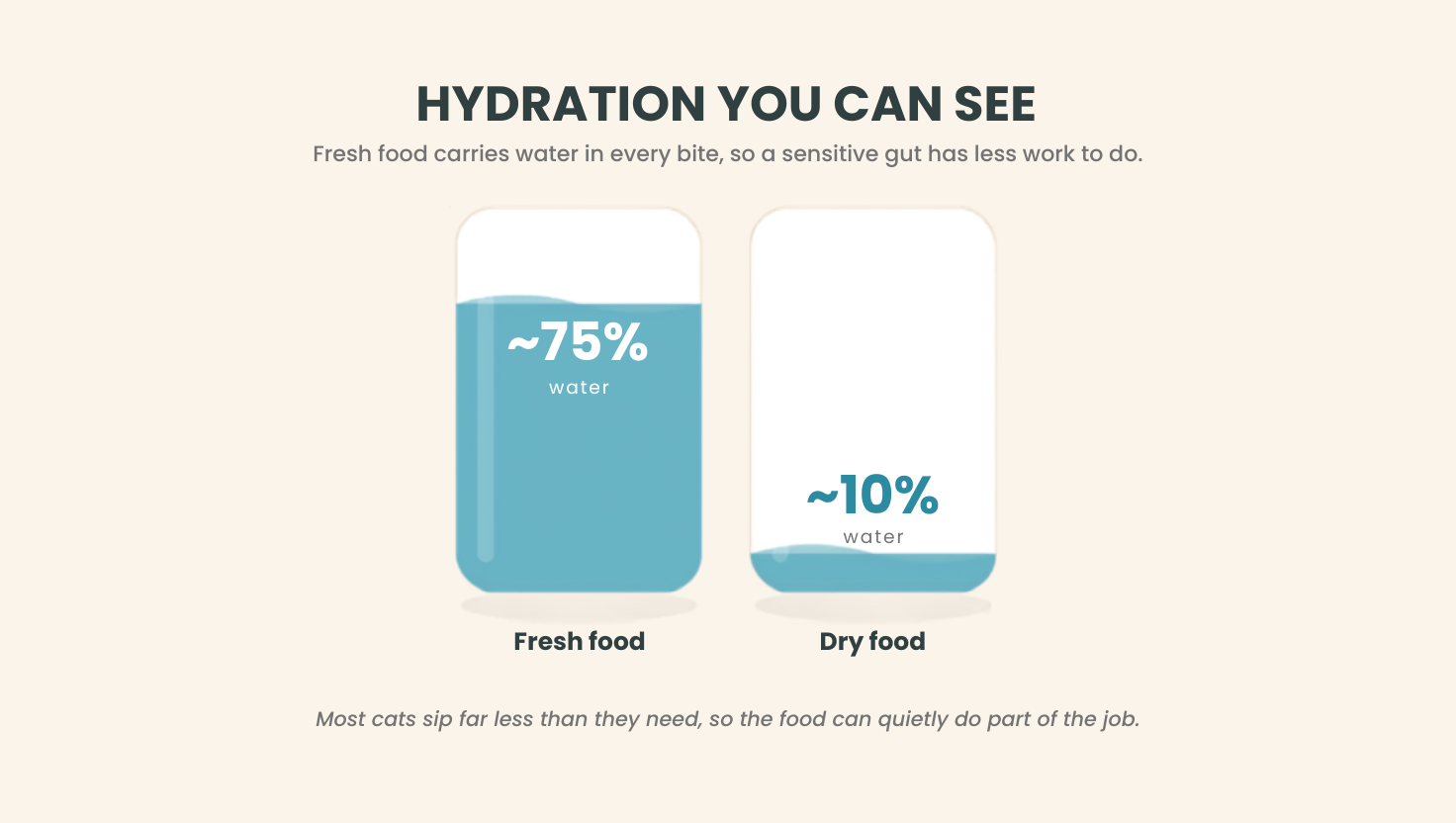 Illustration comparing the water content of fresh cat food and dry food, showing approximately 75% moisture in fresh food and 10% in dry food.