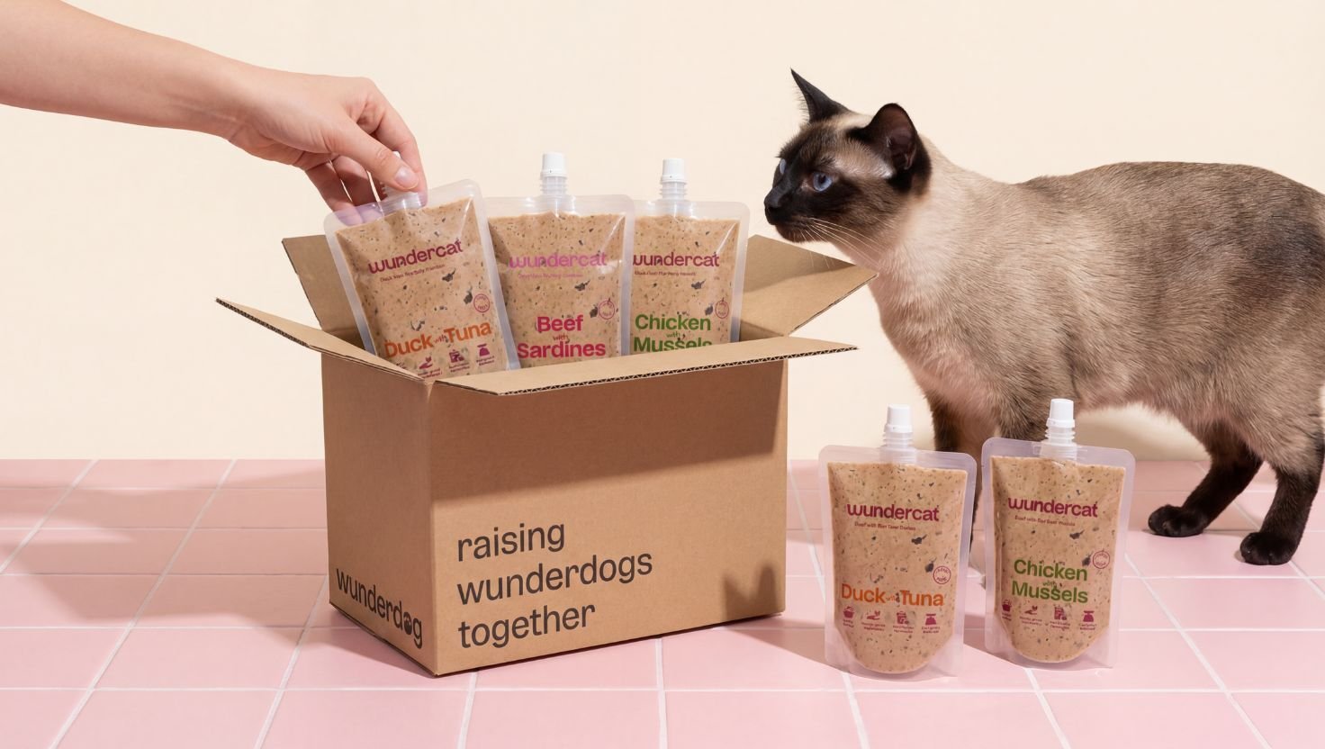 Cat next to a Wundercat taster pack box with fresh food pouches including duck with tuna, beef with sardines, and chicken with mussels